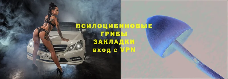 Галлюциногенные грибы мухоморы  Асбест 